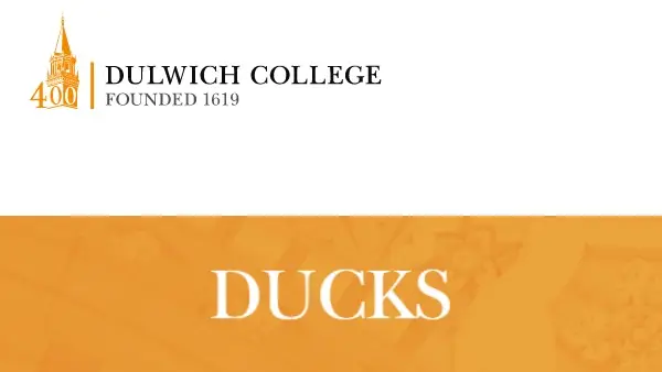 Dulwich College Ducks